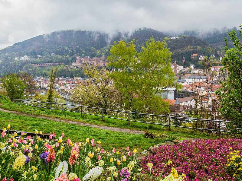 Blick auf Heidelberg mit Nebel