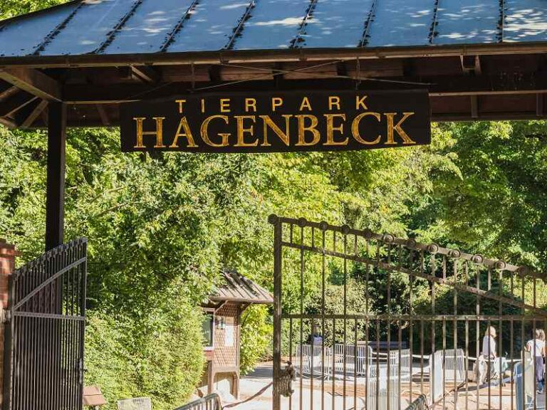 Sitemapcdatahttpderinfbizidstilvolle Hagenbecks Tierpark Preise Ermassigungen Rentner Ebenbild
