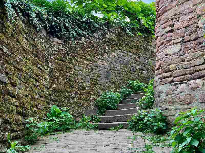 Treppe zum Philosophenweg