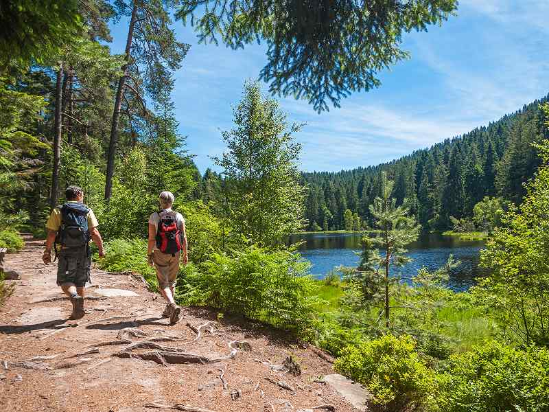 Wanderer im Schwarzwald